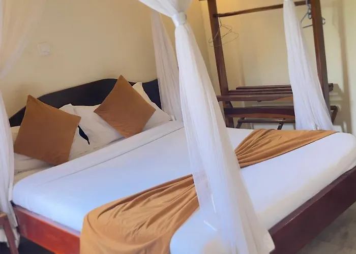 Safari Homes